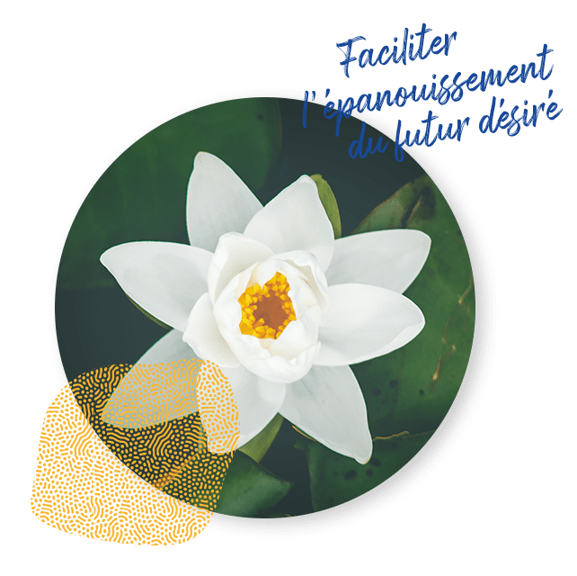 revslider-fleur-3