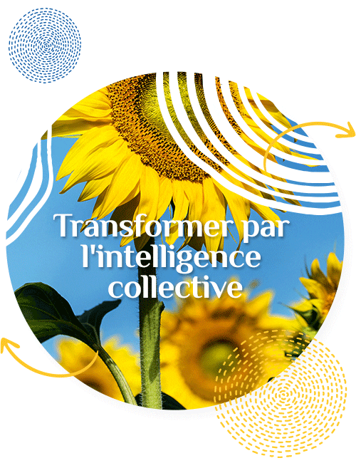Transformer-intelligence-collective-home